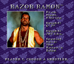WWF Royal Rumble screenshot 3 for Sega Mega Drive